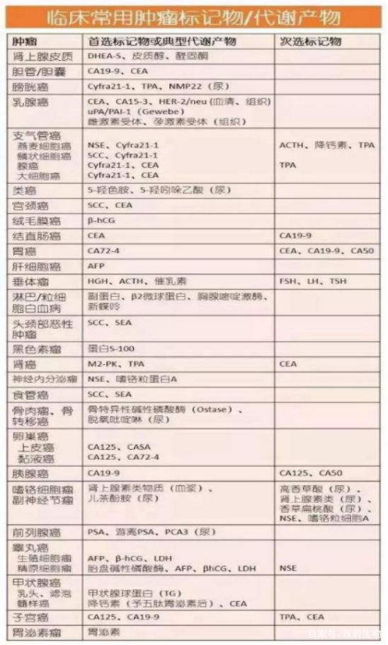 新奥最精准免费大全最新，精选解析、解释与落实